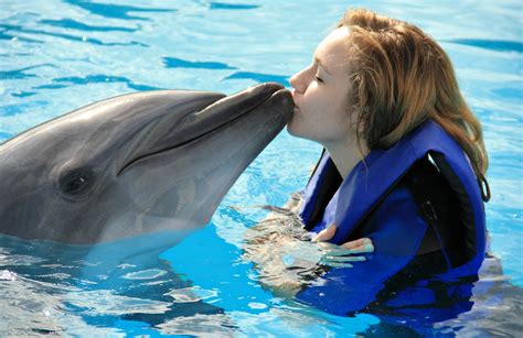 Swim with Dolphins .